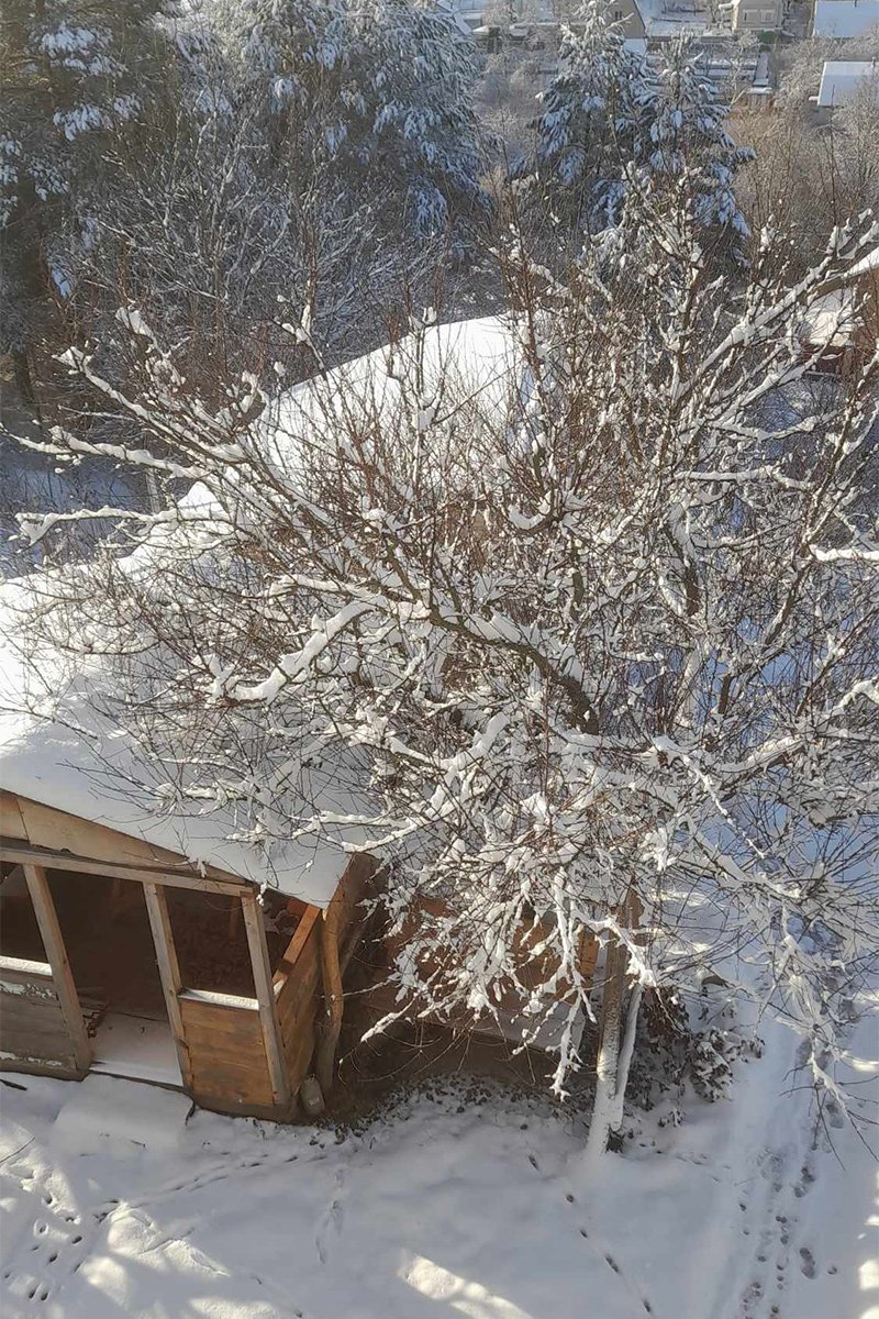 На даче. Фото из личного архива