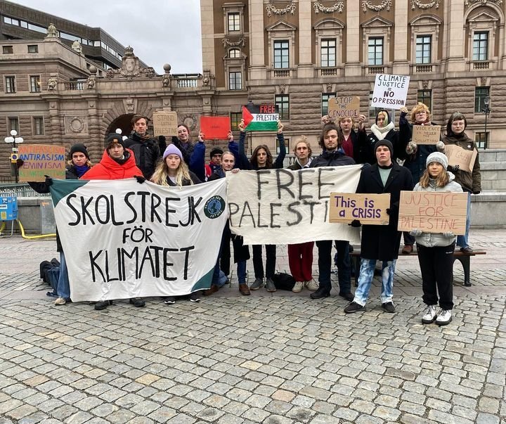 Акция в поддержку Палестины. Фото: Greta Thunberg / Instagram